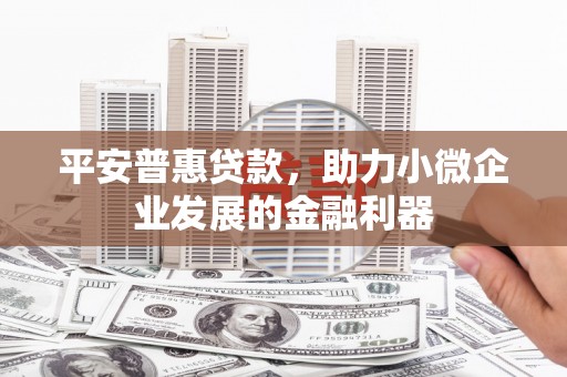 堆龙德庆平安普惠贷款，助力小微企业发展的金融利器