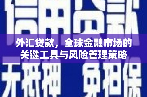 堆龙德庆外汇贷款，全球金融市场的关键工具与风险管理策略