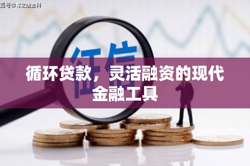 堆龙德庆循环贷款，灵活融资的现代金融工具
