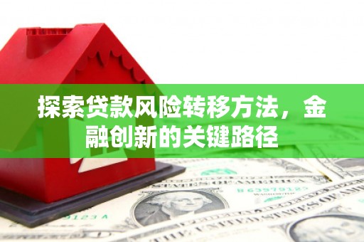 堆龙德庆探索贷款风险转移方法，金融创新的关键路径