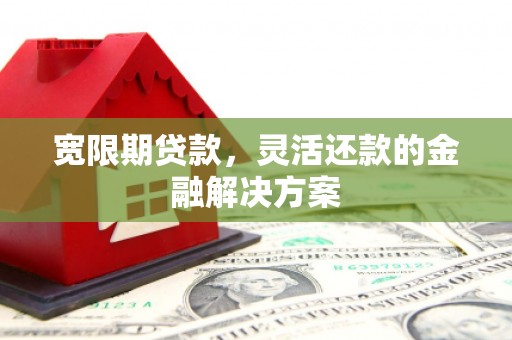 堆龙德庆宽限期贷款，灵活还款的金融解决方案