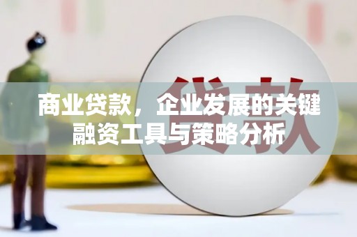 堆龙德庆商业贷款，企业发展的关键融资工具与策略分析