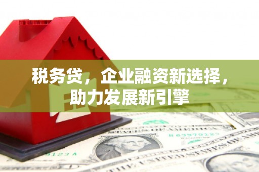 堆龙德庆税务贷，企业融资新选择，助力发展新引擎