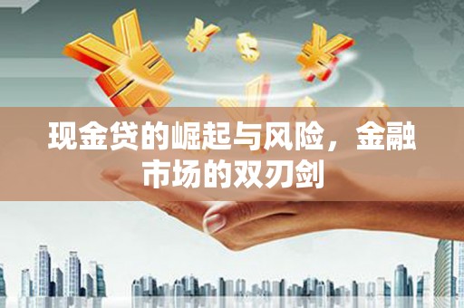 堆龙德庆现金贷的崛起与风险，金融市场的双刃剑