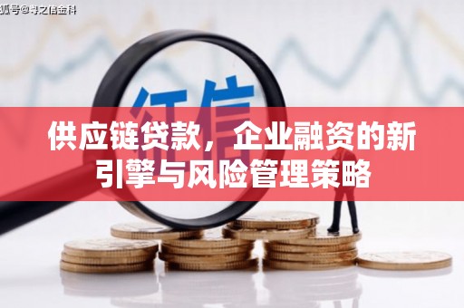 堆龙德庆供应链贷款，企业融资的新引擎与风险管理策略