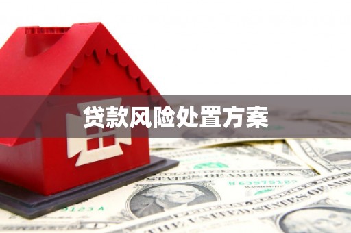 堆龙德庆贷款风险处置方案