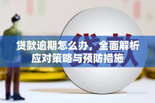堆龙德庆贷款逾期怎么办，全面解析应对策略与预防措施
