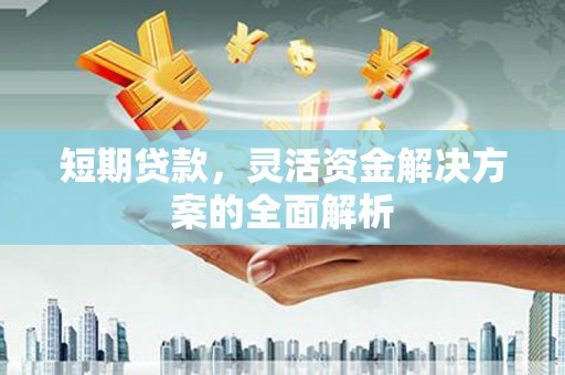 堆龙德庆短期贷款，灵活资金解决方案的全面解析