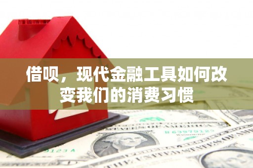 堆龙德庆借呗，现代金融工具如何改变我们的消费习惯