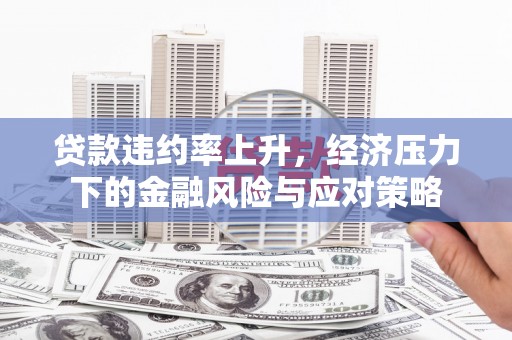 堆龙德庆贷款违约率上升，经济压力下的金融风险与应对策略