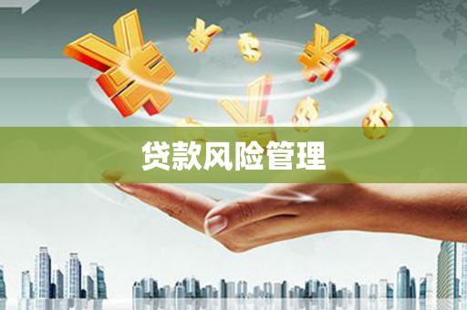堆龙德庆贷款风险管理