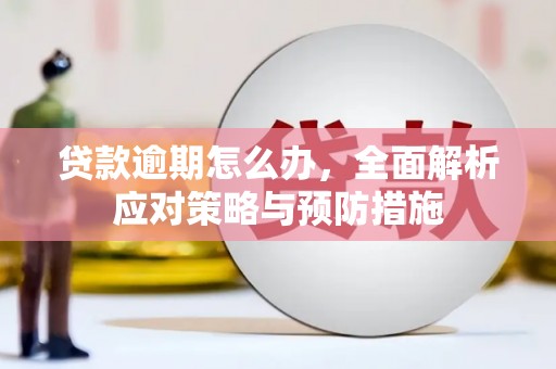 堆龙德庆贷款逾期怎么办，全面解析应对策略与预防措施