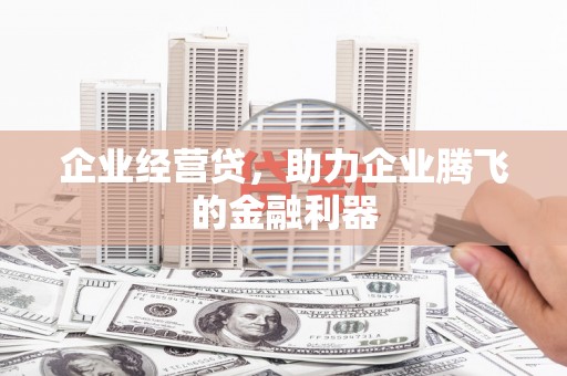 堆龙德庆企业经营贷，助力企业腾飞的金融利器