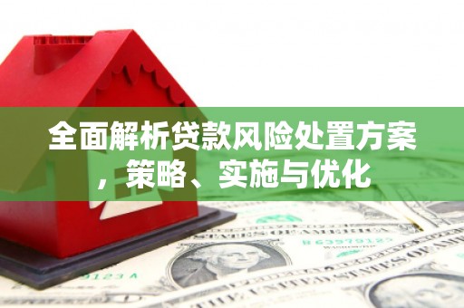 堆龙德庆全面解析贷款风险处置方案，策略、实施与优化
