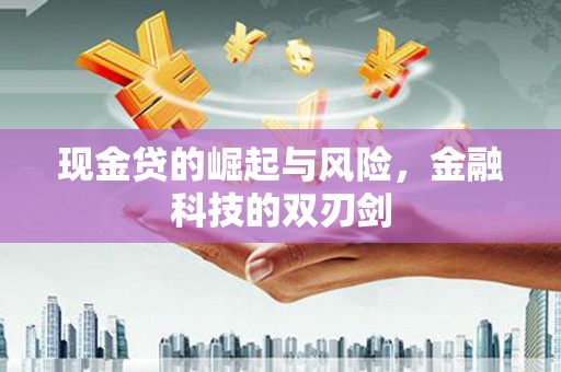 堆龙德庆现金贷的崛起与风险，金融科技的双刃剑