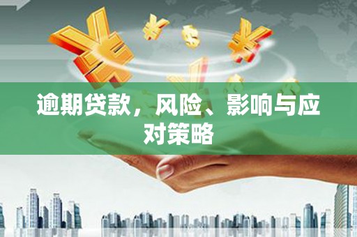 堆龙德庆逾期贷款，风险、影响与应对策略