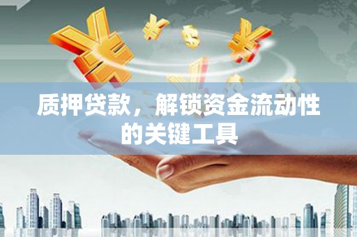 堆龙德庆质押贷款，解锁资金流动性的关键工具