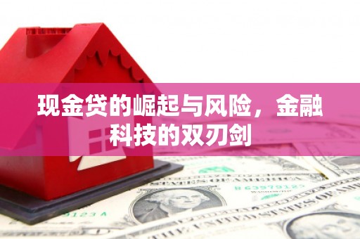 堆龙德庆现金贷的崛起与风险，金融科技的双刃剑
