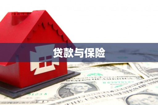 堆龙德庆贷款与保险