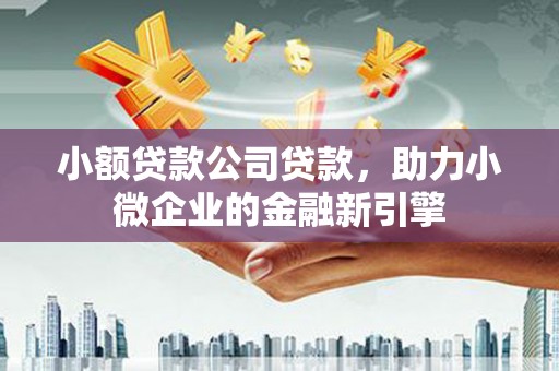 堆龙德庆小额贷款公司贷款，助力小微企业的金融新引擎