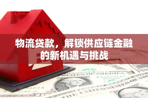堆龙德庆物流贷款，解锁供应链金融的新机遇与挑战