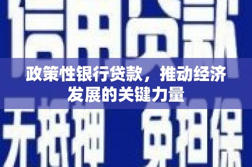 堆龙德庆政策性银行贷款，推动经济发展的关键力量
