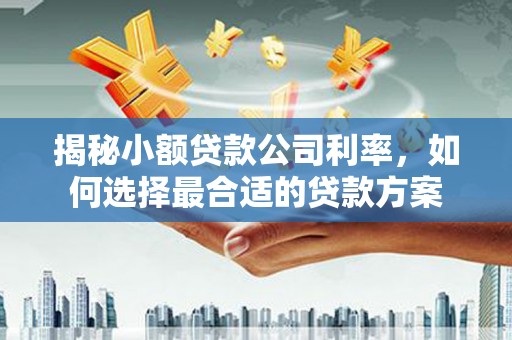 堆龙德庆揭秘小额贷款公司利率，如何选择最合适的贷款方案