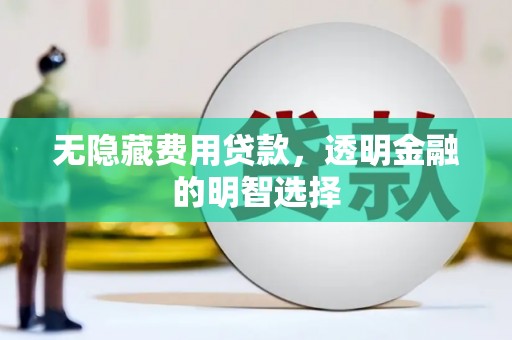 堆龙德庆无隐藏费用贷款，透明金融的明智选择