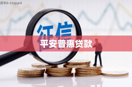 堆龙德庆平安普惠贷款