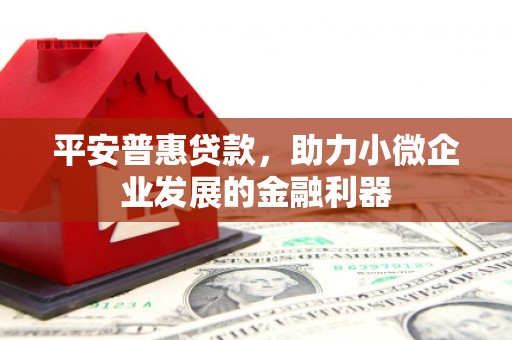 堆龙德庆平安普惠贷款，助力小微企业发展的金融利器