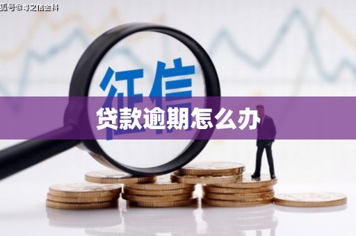 堆龙德庆贷款逾期怎么办