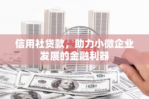 堆龙德庆信用社贷款，助力小微企业发展的金融利器