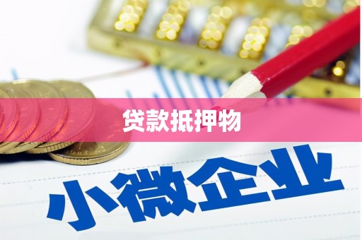 堆龙德庆贷款抵押物