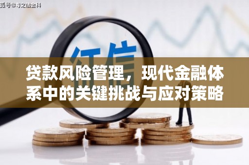 堆龙德庆贷款风险管理，现代金融体系中的关键挑战与应对策略