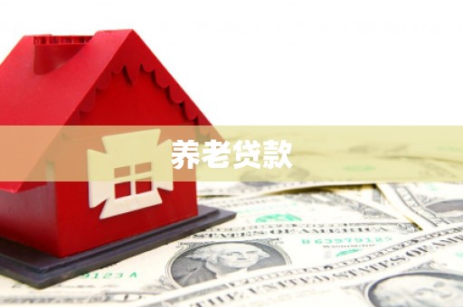 堆龙德庆养老贷款