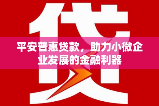 堆龙德庆平安普惠贷款，助力小微企业发展的金融利器