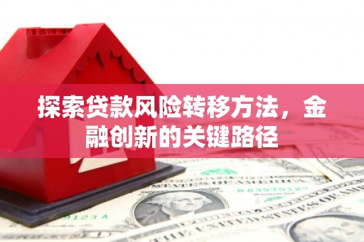 堆龙德庆探索贷款风险转移方法，金融创新的关键路径