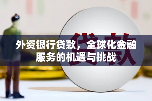 堆龙德庆外资银行贷款，全球化金融服务的机遇与挑战