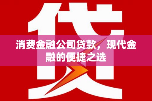 堆龙德庆消费金融公司贷款，现代金融的便捷之选