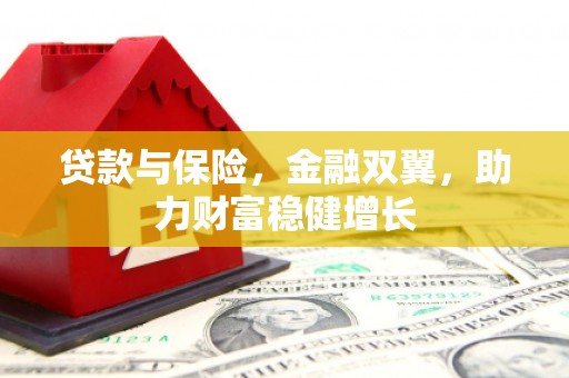 堆龙德庆贷款与保险，金融双翼，助力财富稳健增长