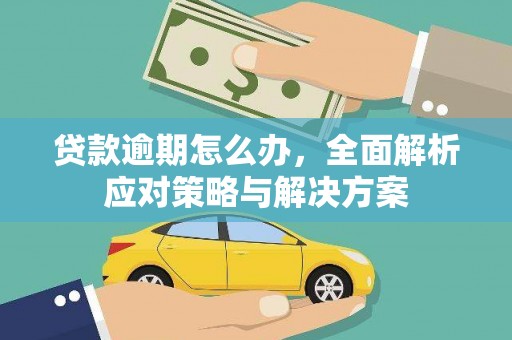 堆龙德庆贷款逾期怎么办，全面解析应对策略与解决方案
